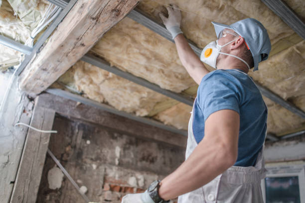 Best Insulation Installation Services in Jena, LA