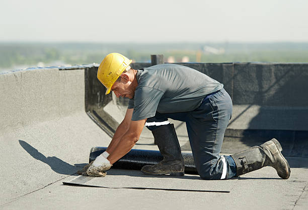 Best Commercial Insulation in Jena, LA