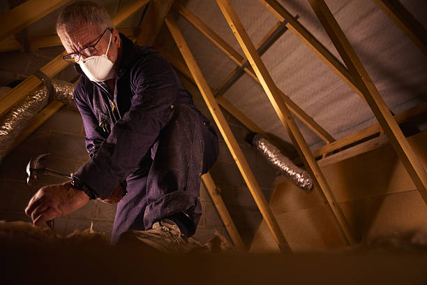 Best Insulation Materials and Products in Jena, LA